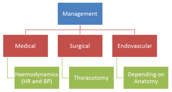 Management of Aortic Injuries